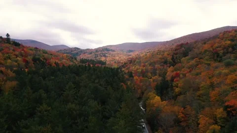 Autumn 4K Fall Stock Footage 247577425