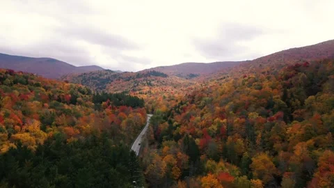 Autumn 4K Fall Stock Footage 247577489