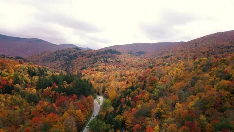 Autumn 4K Fall Stock Footage 247577665