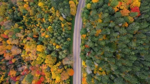 Autumn 4K Fall Stock Footage 247577691