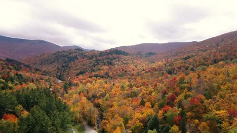 Autumn 4K Fall Stock Footage 247577692