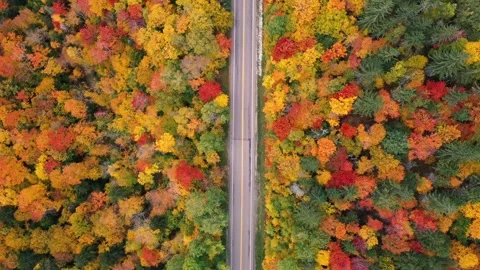 Autumn 4K Fall Stock Footage 247577693