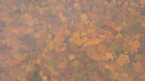 Autumn 4K Fall Stock Footage 247577701