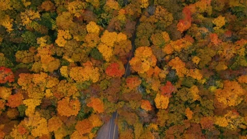 Autumn 4K Fall Stock Footage 247577908