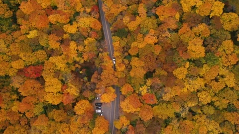 Autumn 4K Fall Stock Footage 247577910