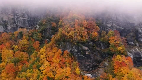 Autumn 4K Fall Stock Footage 247577950