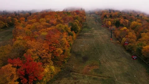 Autumn 4K Fall Stock Footage 247577951