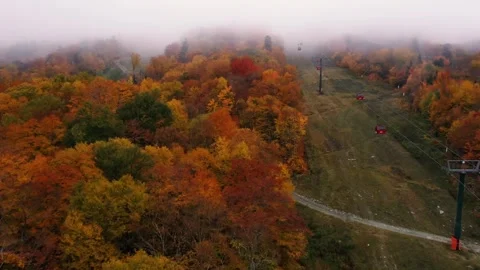 Autumn 4K Fall Stock Footage 247578065