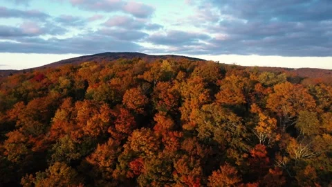 Autumn 4K Fall Stock Footage 247578071