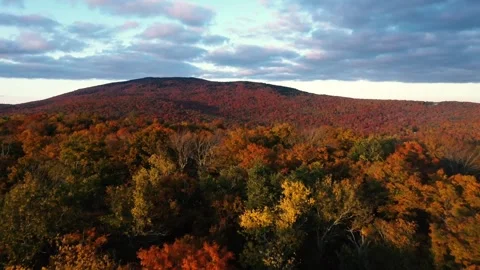 Autumn 4K Fall Stock Footage 247578080