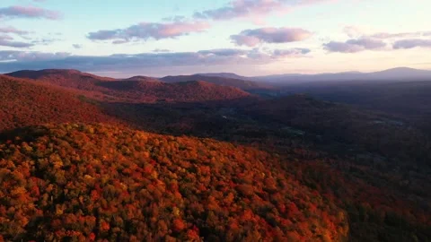 Autumn 4K Fall Stock Footage 247578085