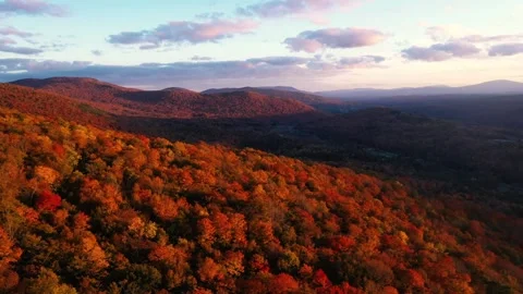 Autumn 4K Fall Stock Footage 247578096