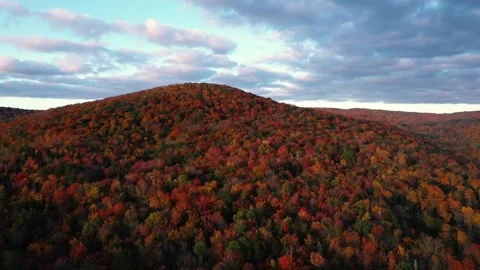 Autumn 4K Fall Stock Footage 247578102