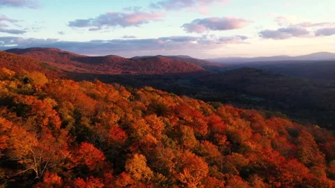 Autumn 4K Fall Stock Footage 247578104