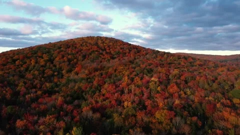 Autumn 4K Fall Stock Footage 247578111
