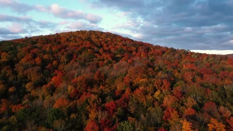 Autumn 4K Fall Stock Footage 247578112