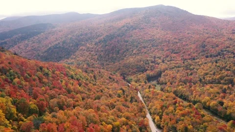 Autumn 4K Fall Stock Footage 247578123