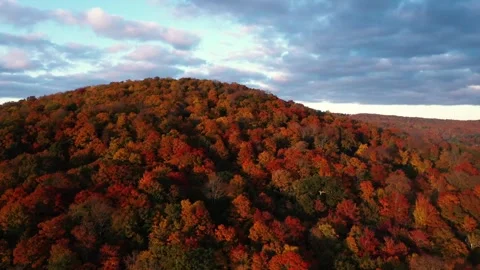 Autumn 4K Fall Stock Footage 247578153