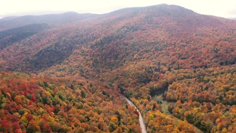 Autumn 4K Fall Stock Footage 247578184