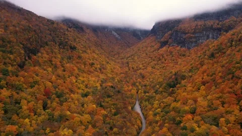 Autumn 4K Fall Stock Footage 247578187