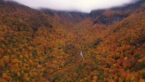 Autumn 4K Fall Stock Footage 247578193