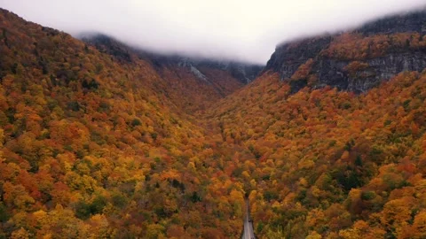 Autumn 4K Fall Stock Footage 247578194