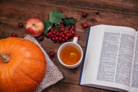 Autumn 55 Stock Photos