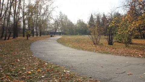 Autumn 6 Stock Footage 89686789