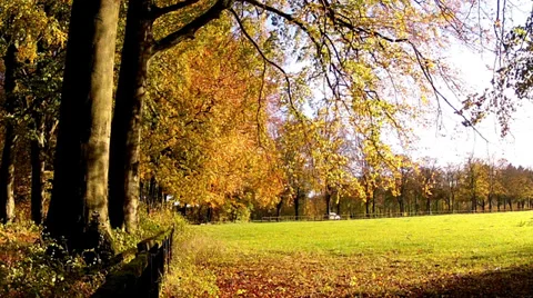 The autumn  in Abbaye de Maredsous. Stock Footage 35165358