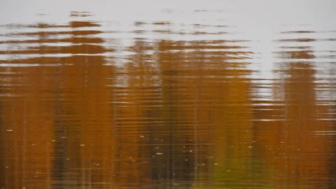 Autumn abstract background Stock Footage 162987246