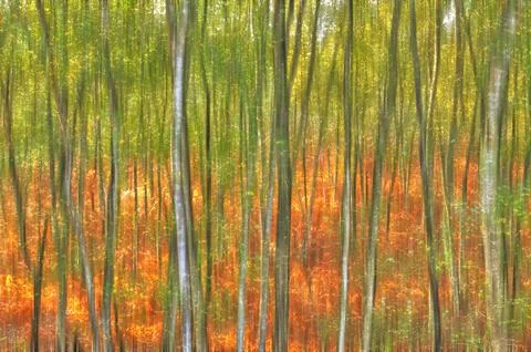 Autumn abstract background Stock Photos
