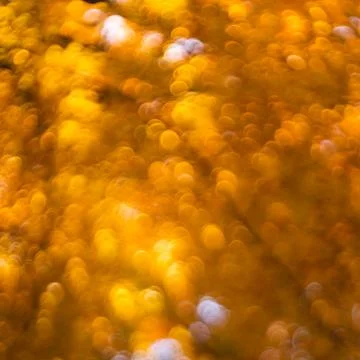 Autumn abstract background Stock Photos