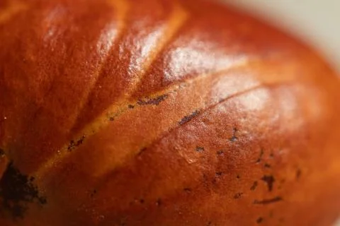 Autumn abstract background: a unique pattern on the surface of the chestnut s Foto stock