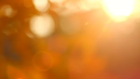 Autumn abstract blurred background. Fall Stock Footage 91586513