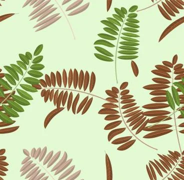 Autumn acacia leaf seamless pattern イラスト素材