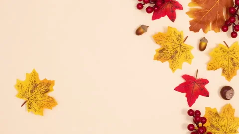 Autumn accessories appear on right side and one leaf fall. Stop motion 動画素材 157283108