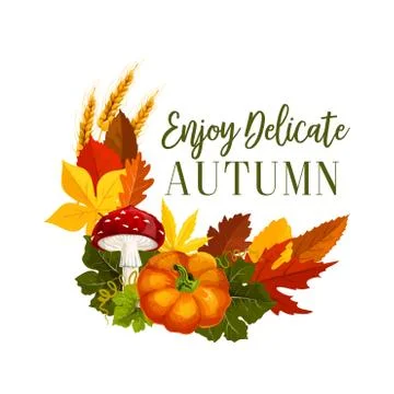 Autumn acorn leaf, pumpkin vector greeting poster Stock Illustration