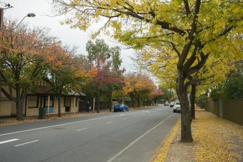 Autumn of Adelaide Stock Photos