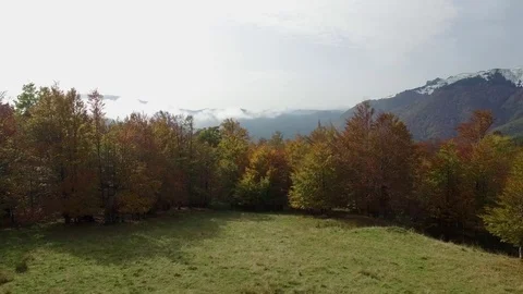 Autumn Aerial Stock Footage 82416288