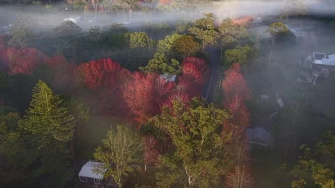 Autumn aerial Stock Footage 337550886