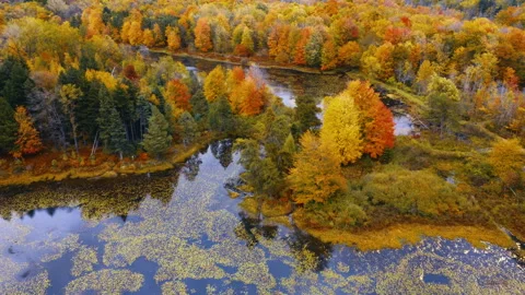 Autumn Aerial Footage Stock Footage 252157694