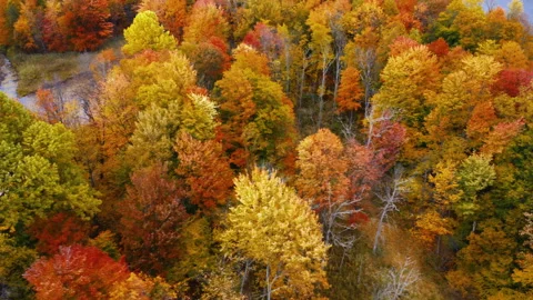 Autumn Aerial Footage Stock Footage 252158258