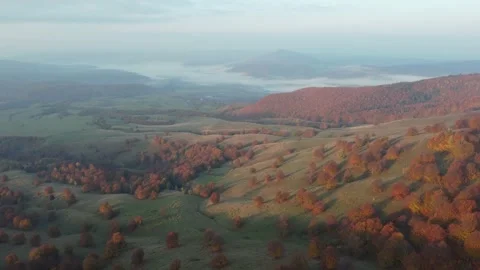 Autumn aerial view over the colorful forest, In the Carpathian Mountains	 Stock Footage 234418341