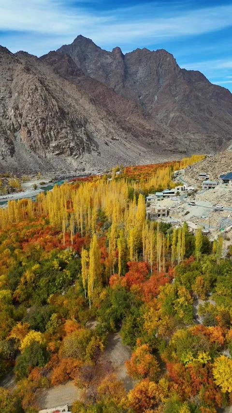 Autumn aerials – vertical drone glides over golden trees in Kargil. Stock Footage 310664962