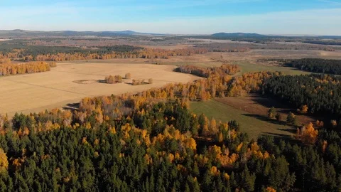 Autumn agricultural fields. Fields among forests Stock Footage 99743109