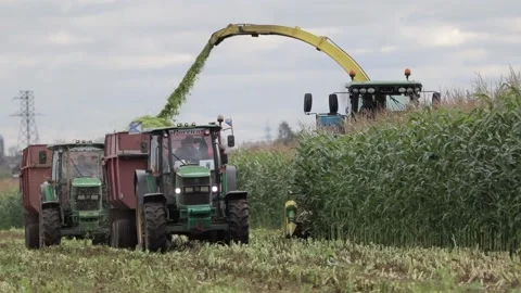 Autumn agricultural work Stock Footage 145800464