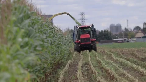 Autumn agricultural work Stock Footage 145800465