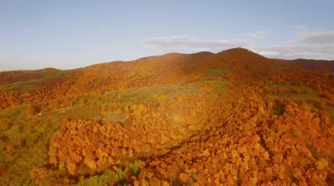 Autumn from the air Stock Footage 64082278