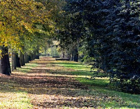 Autumn in all its glory. Stock Photos