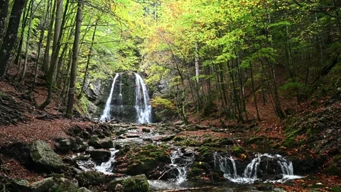 Autumn ambience at a waterfall in a forest Video stock 260936743